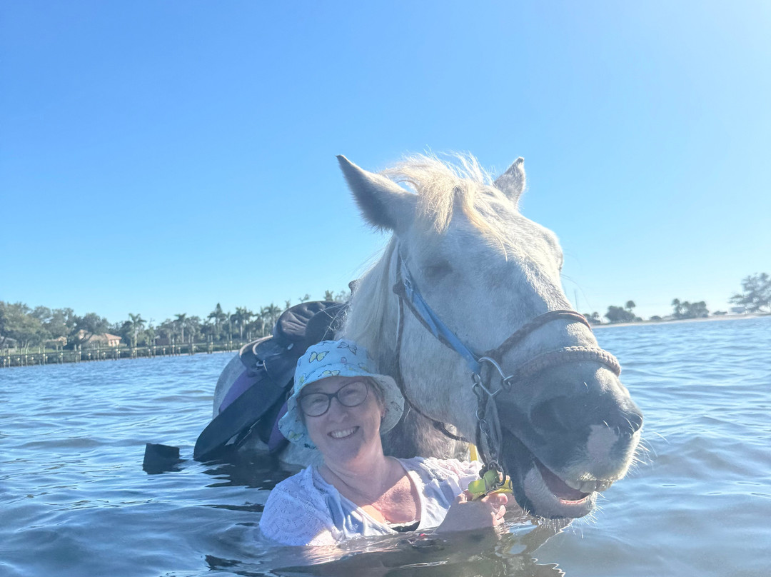 Florida Beach Horses-布雷登顿必去景点
