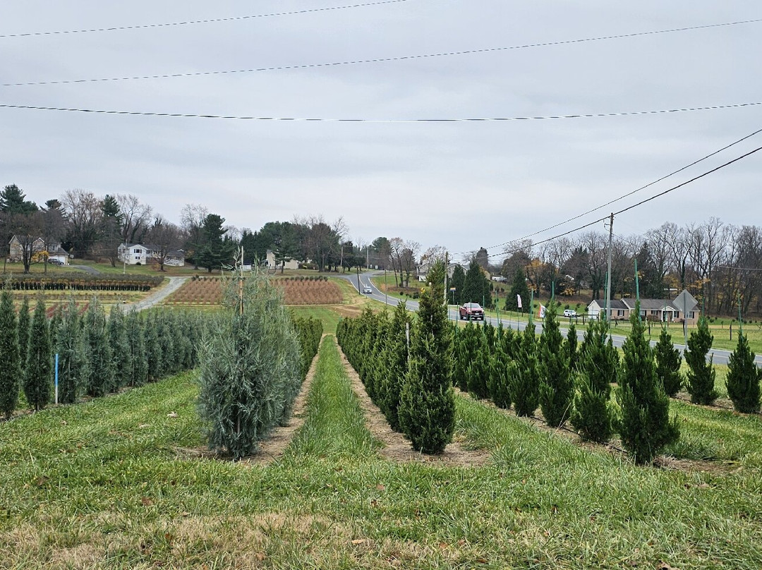 Foxborough Nursery-Street必去景点