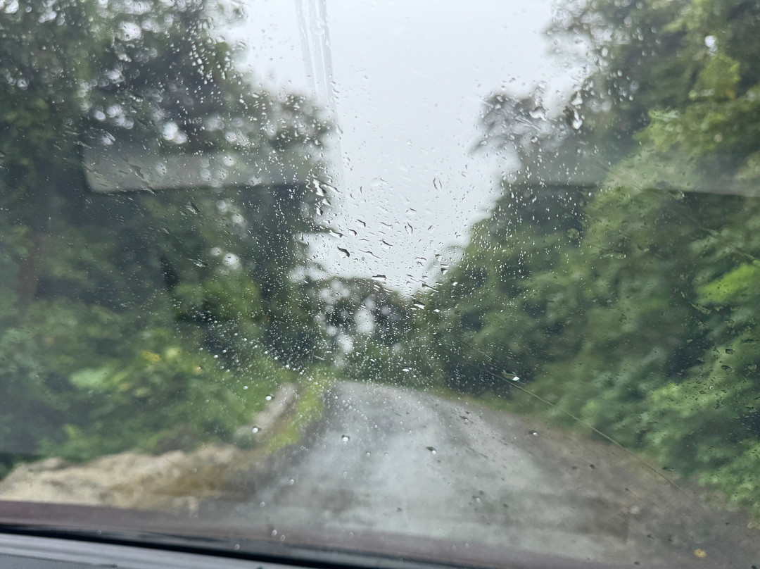 Reserva Bosque Nuboso Santa Elena-蒙特沃德必去景点