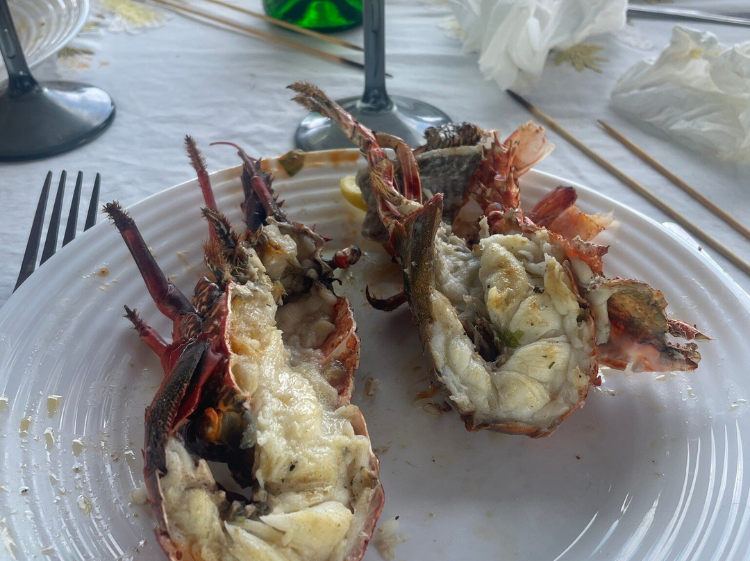 Dolphin Warrior-La Gaulette必去景点