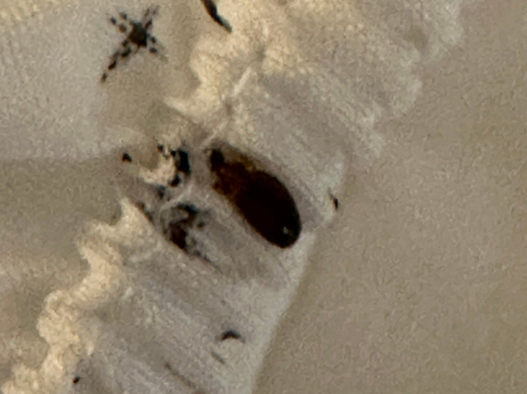 Country Inn & Suites by Radisson, Salisbury, MD主图