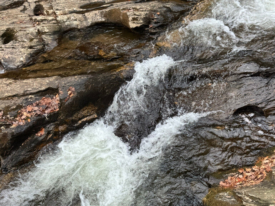 Dukes Creek Falls Trail-海伦必去景点
