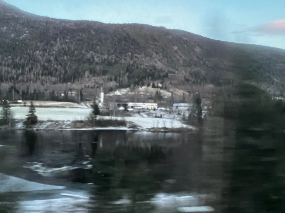 Bergen to Oslo Train Ride-卑尔根必去景点