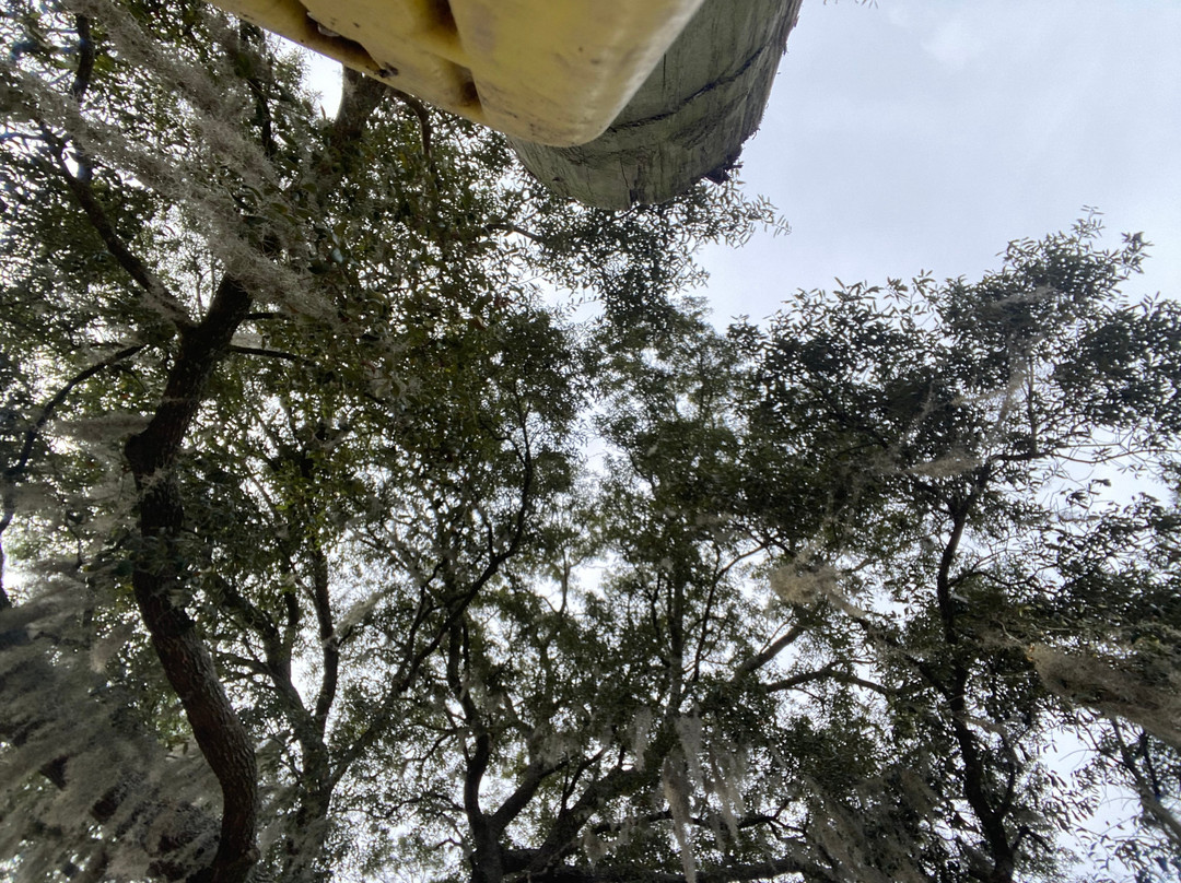 Rooterville Animal Sanctuary-Melrose必去景点