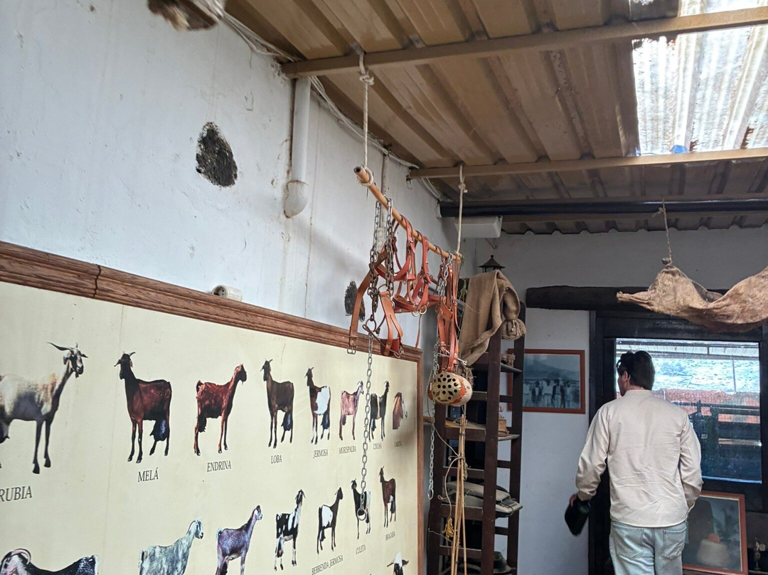 Finca Pepe-Betancuria必去景点