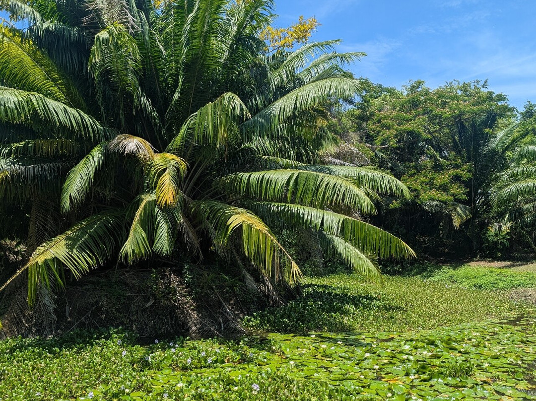 Reserva Curu-彭塔雷纳斯必去景点