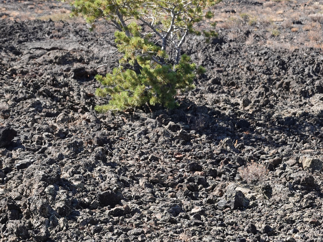 Craters of the Moon National Monument-Arco必去景点