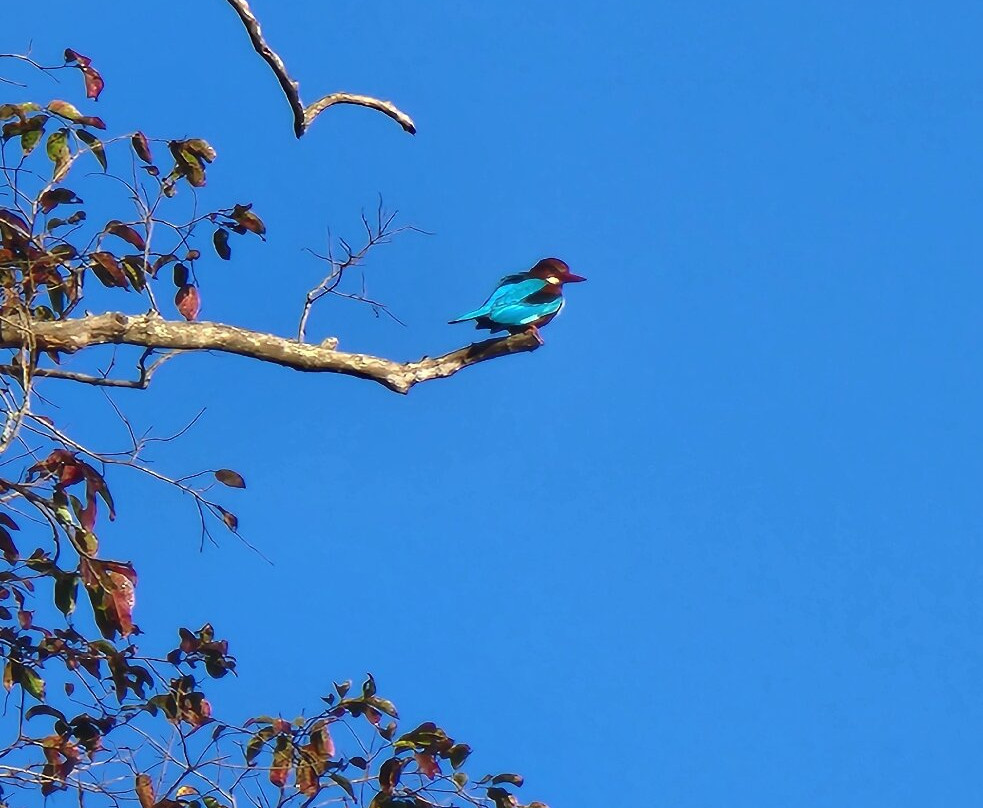 707 Tours-新德里必去景点