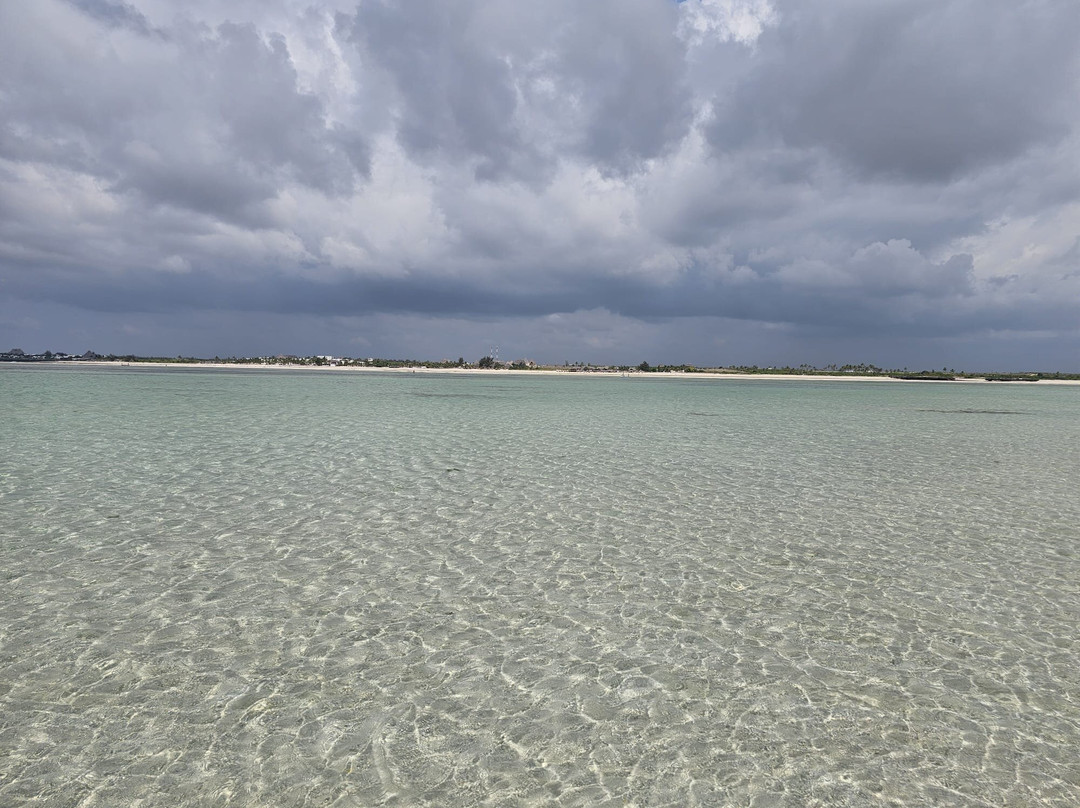 Omar Safari Kenya-瓦塔木必去景点