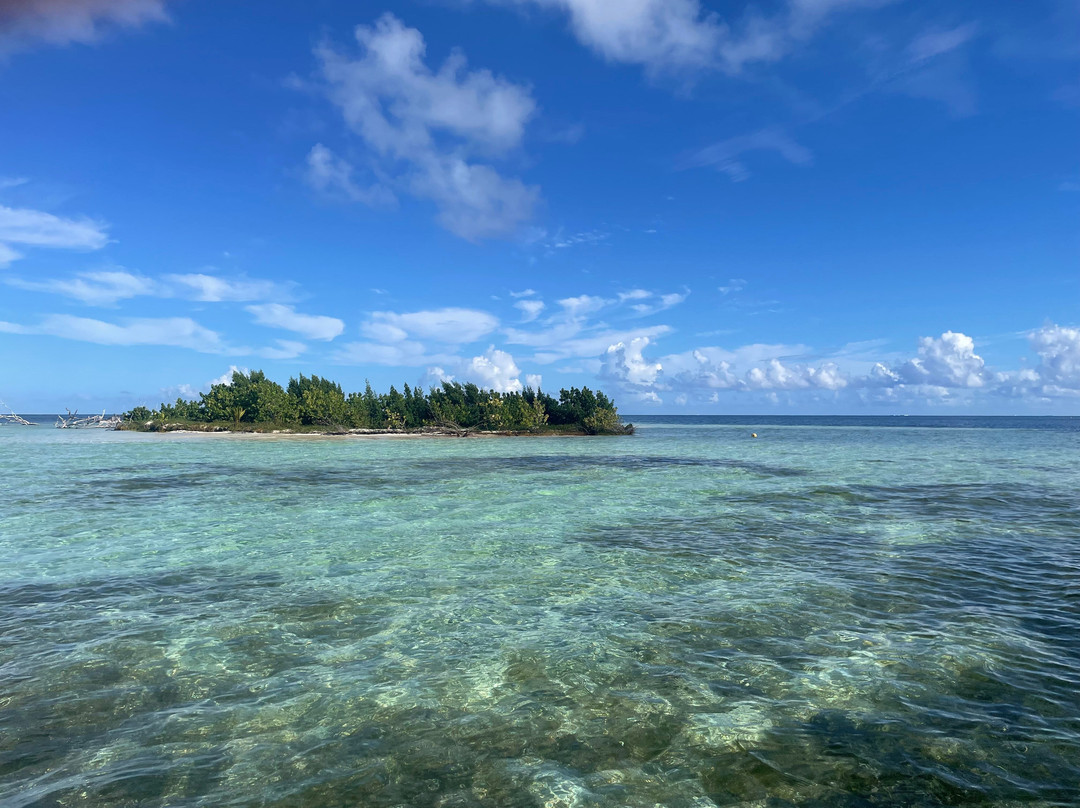 Coco Mambo-Sainte Rose必去景点