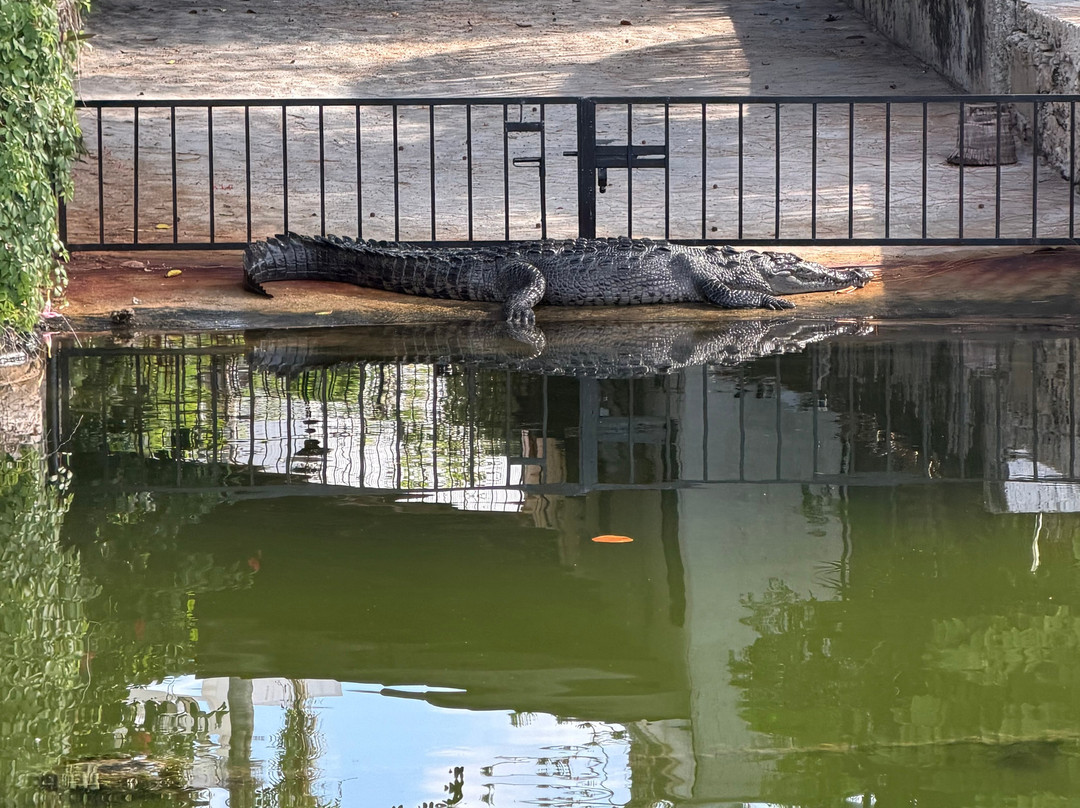 Puerto Maya Cancun-坎昆必去景点