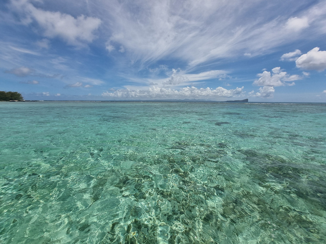 Coral Belle Catamaran Cruises-大湾必去景点