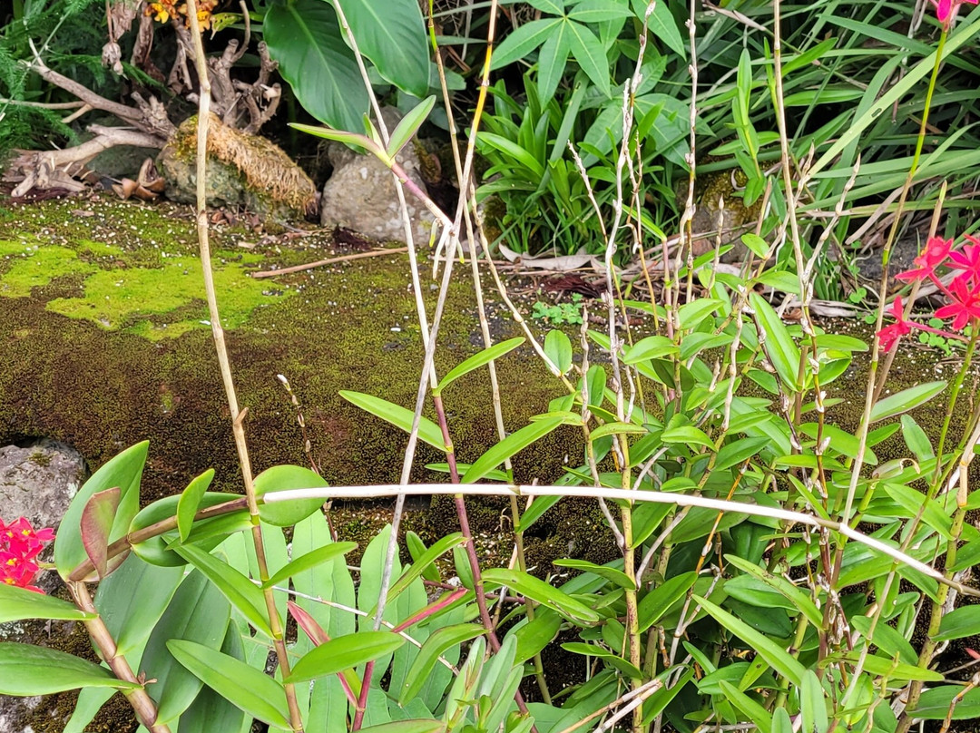 格林威尔农场-基亚拉凯库亚必去景点
