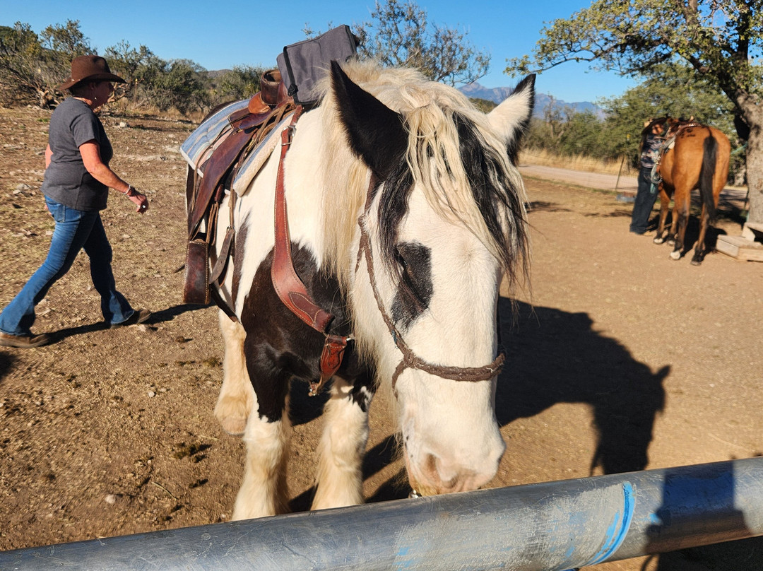 Double R Ranch-Elgin必去景点