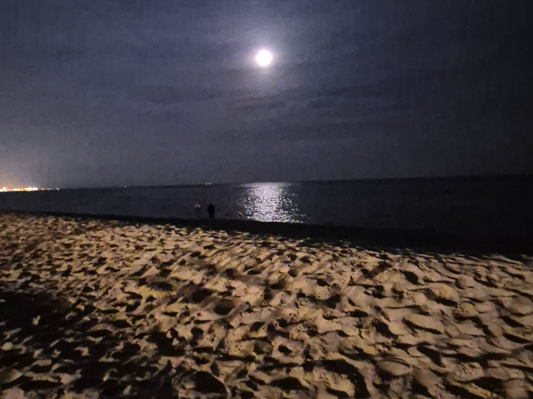 Al Majles Resort-多哈必去景点