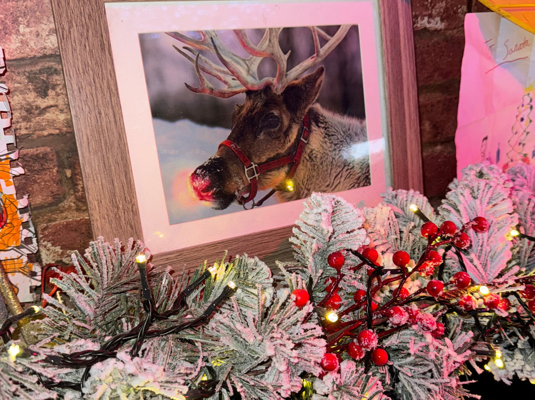 Mini Meadows Farm-Welford必去景点