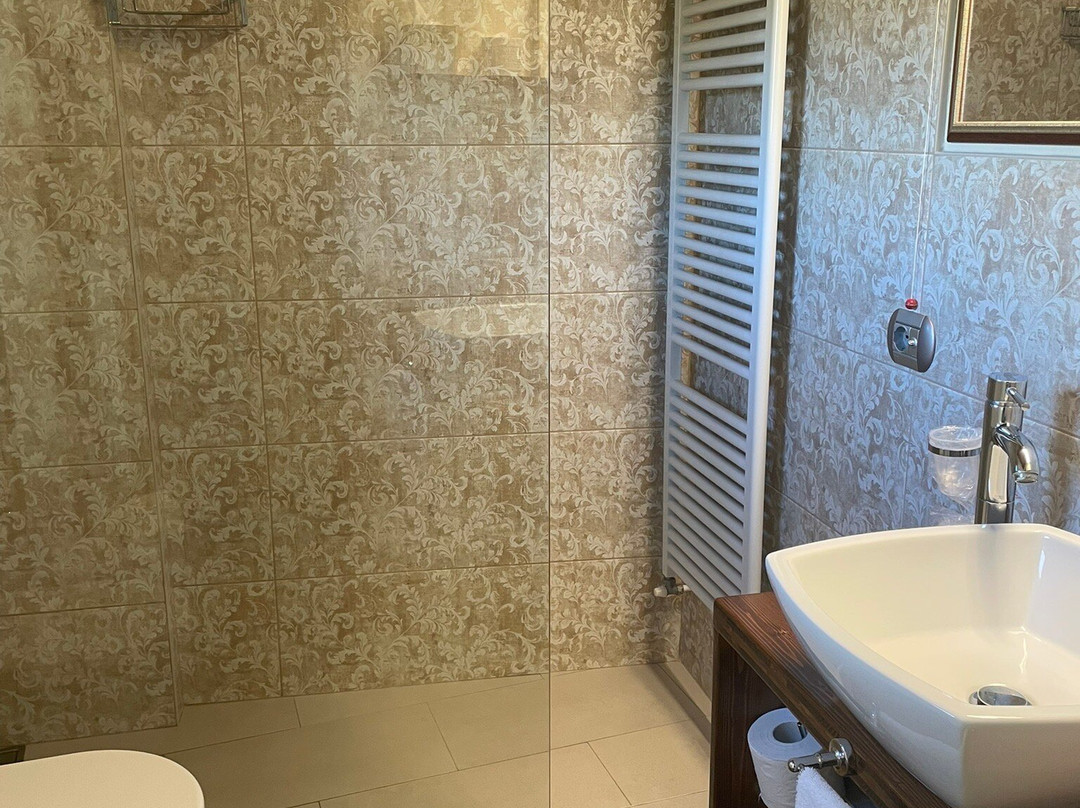 莫里诺蒂费茨酒店主图