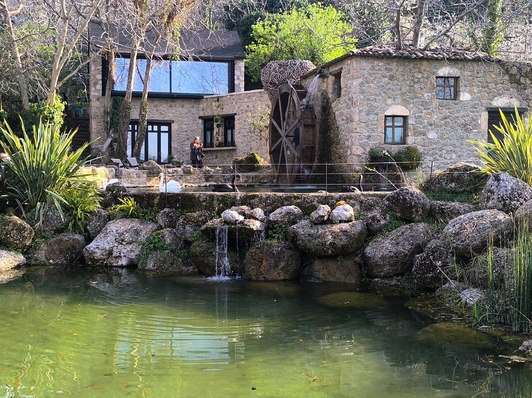 Area Synest Nature Suites主图