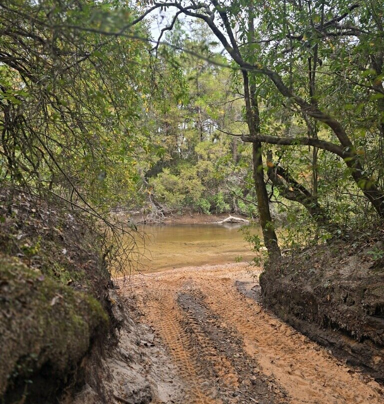 Righteous rides off-road-Robertsdale必去景点