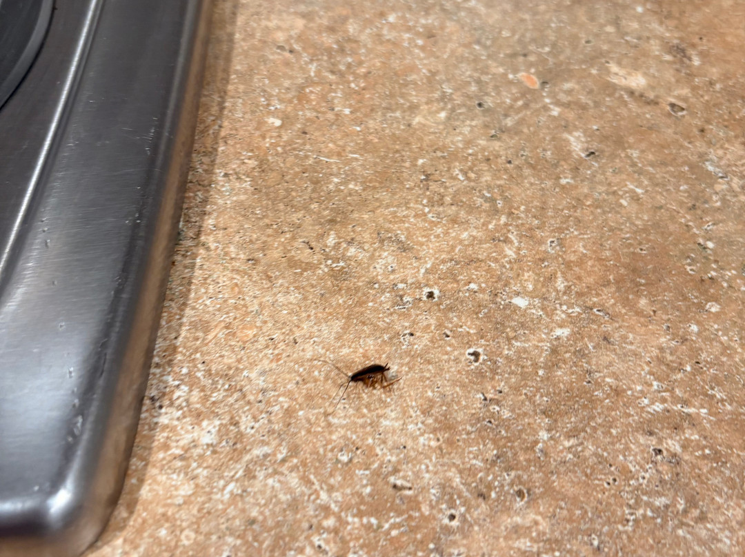 Extended Stay America Select Suites - Kalamazoo - West主图