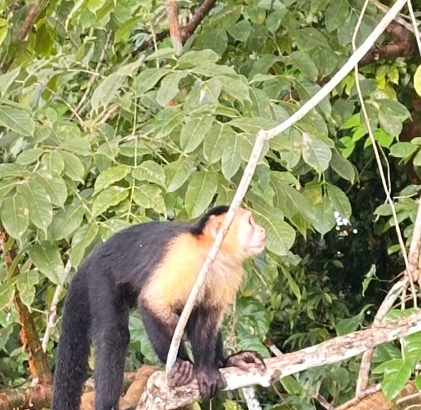 Panama Road Trips-巴拿马城必去景点