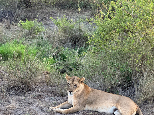 Africana Adventures Kenya-瓦塔木必去景点