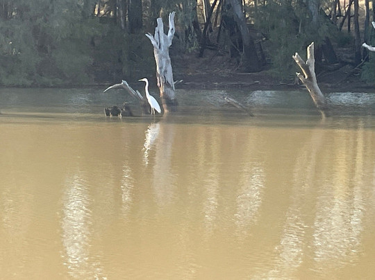 Sandytown River Cruises-St George必去景点