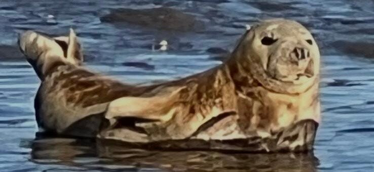 Chichester Harbour Water Tours-West Itchenor必去景点