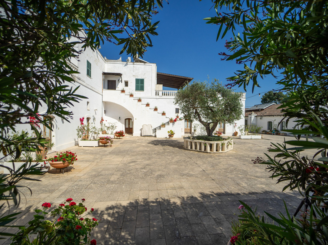 泰努塔德巴克酒店主图