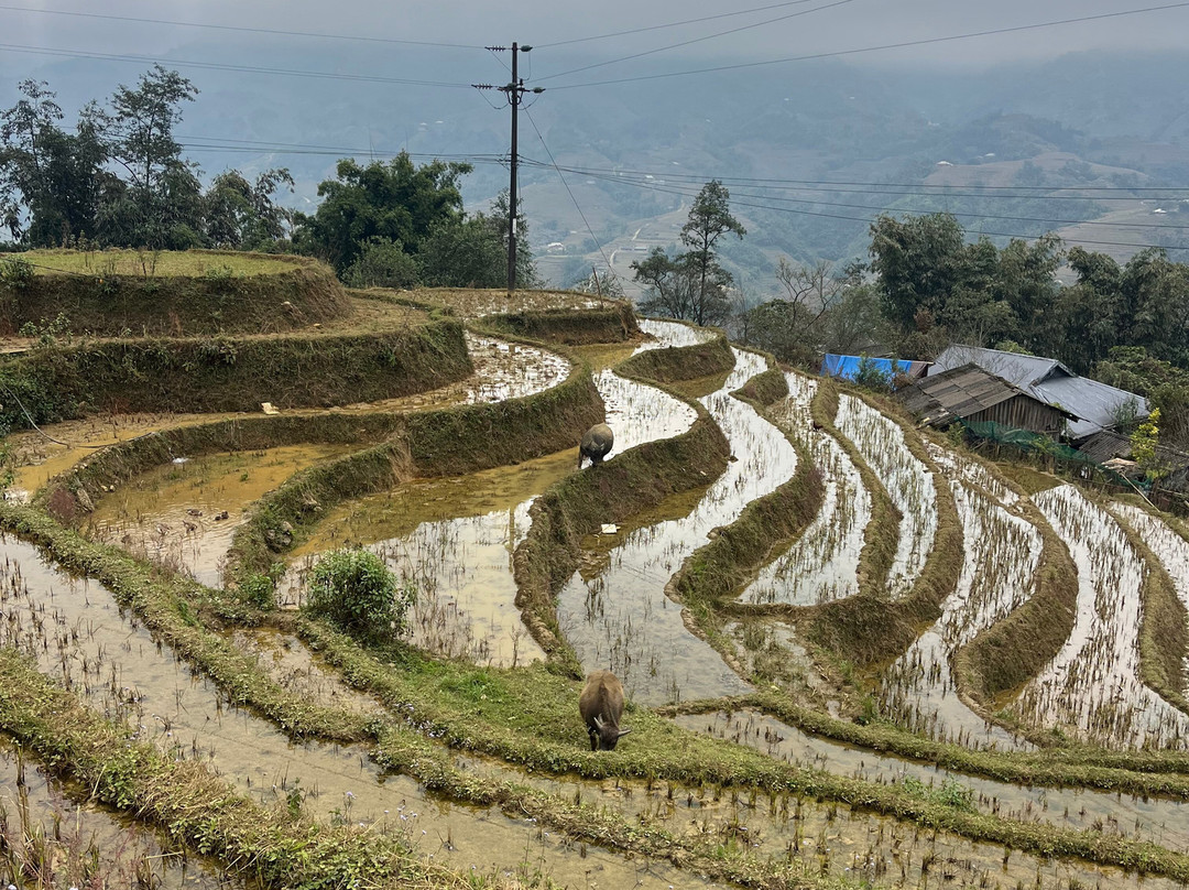 Mountain Light Travel-河内必去景点