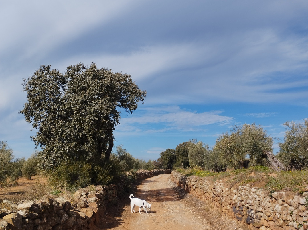 Molino La Nava主图