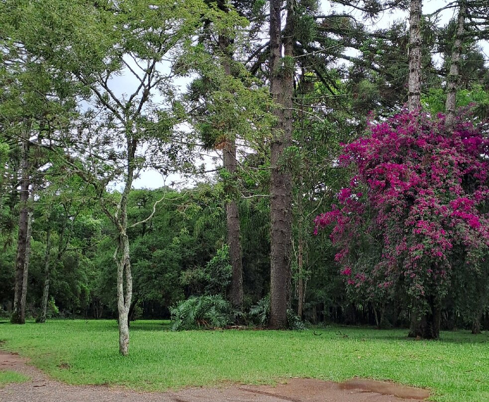 Abbey of the Resurrection - Benedictine Monastery-Ponta Grossa必去景点