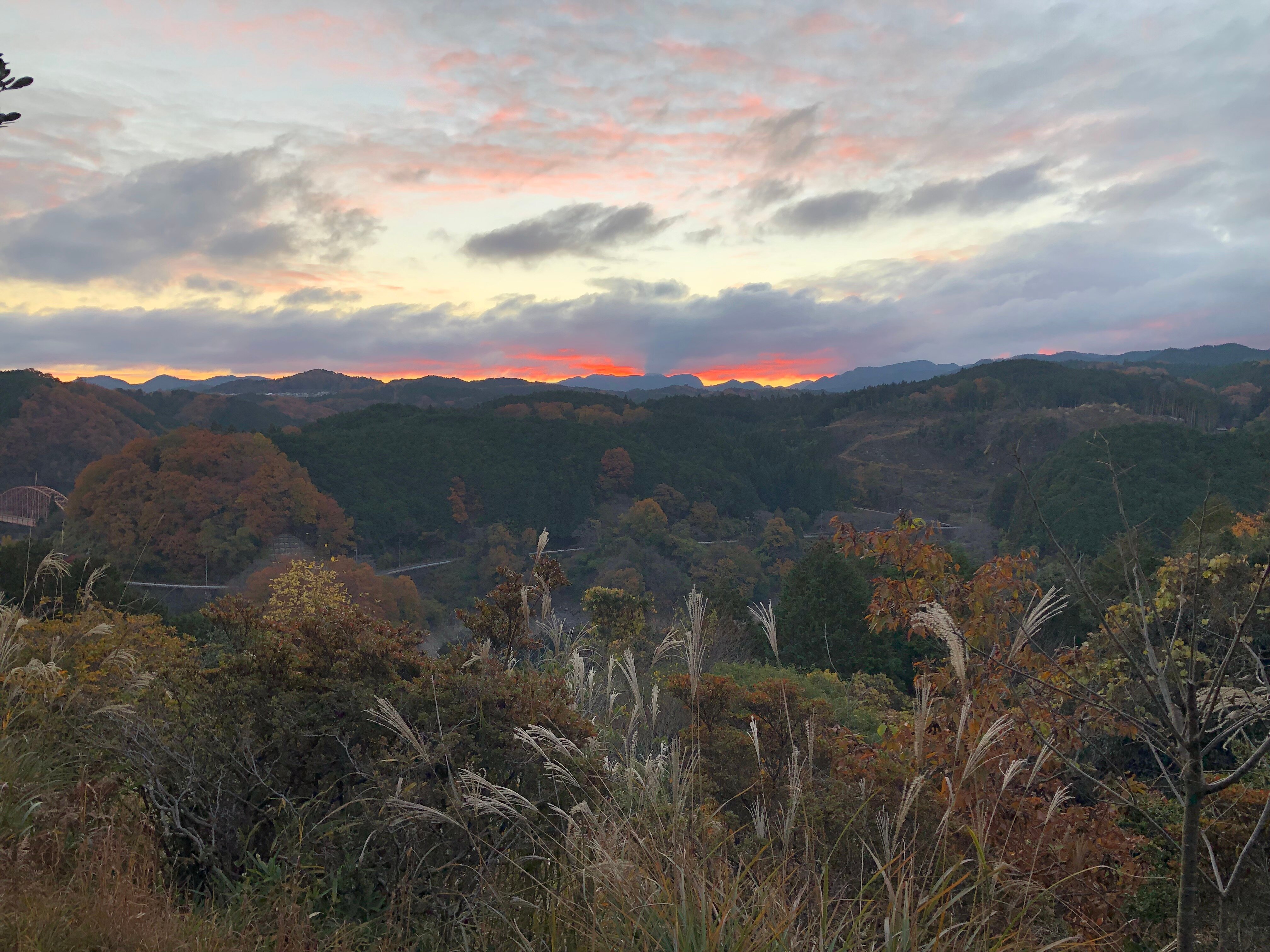 Shorenji Lake Hotel-官方