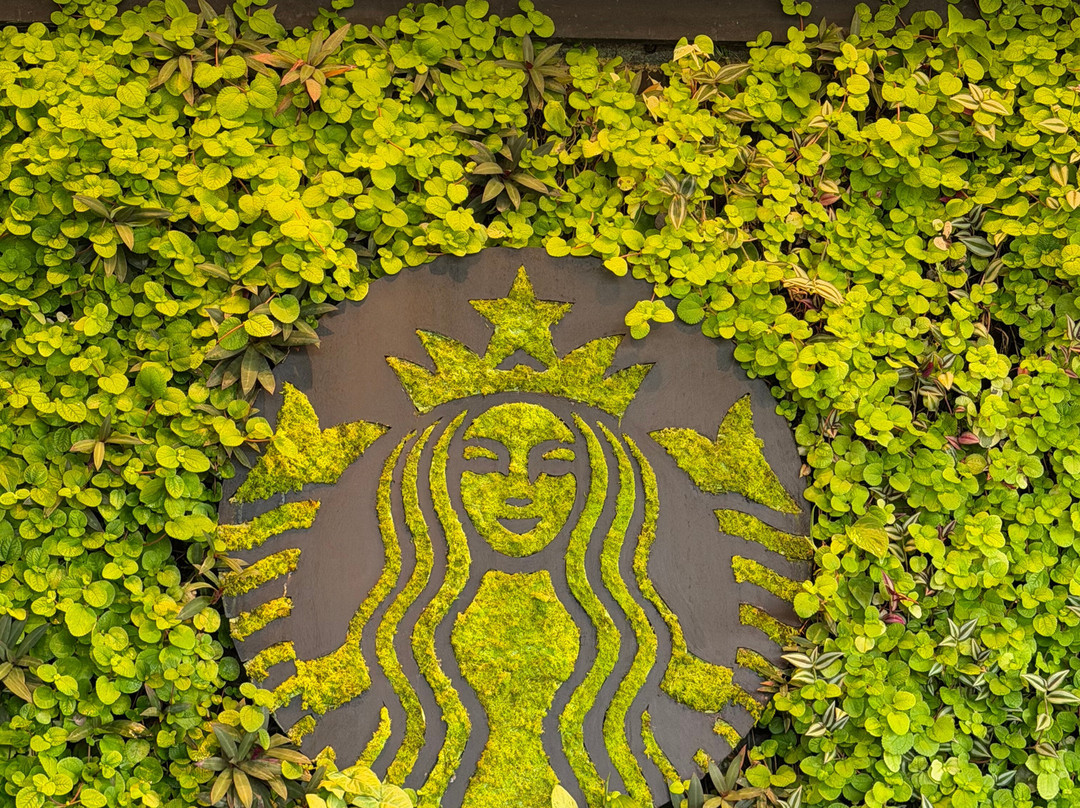 Arenal Cautiva-El Castillo必去景点