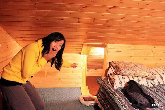 Bear's Lair Lodge主图