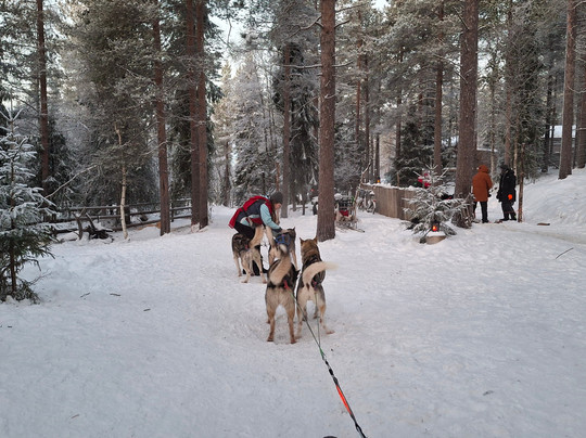 Levi Huskypark-Kongas必去景点