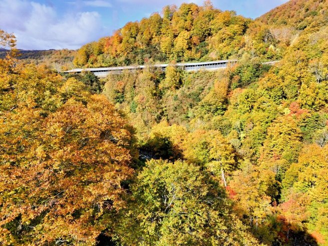 Shintamagawa Onsen-官方