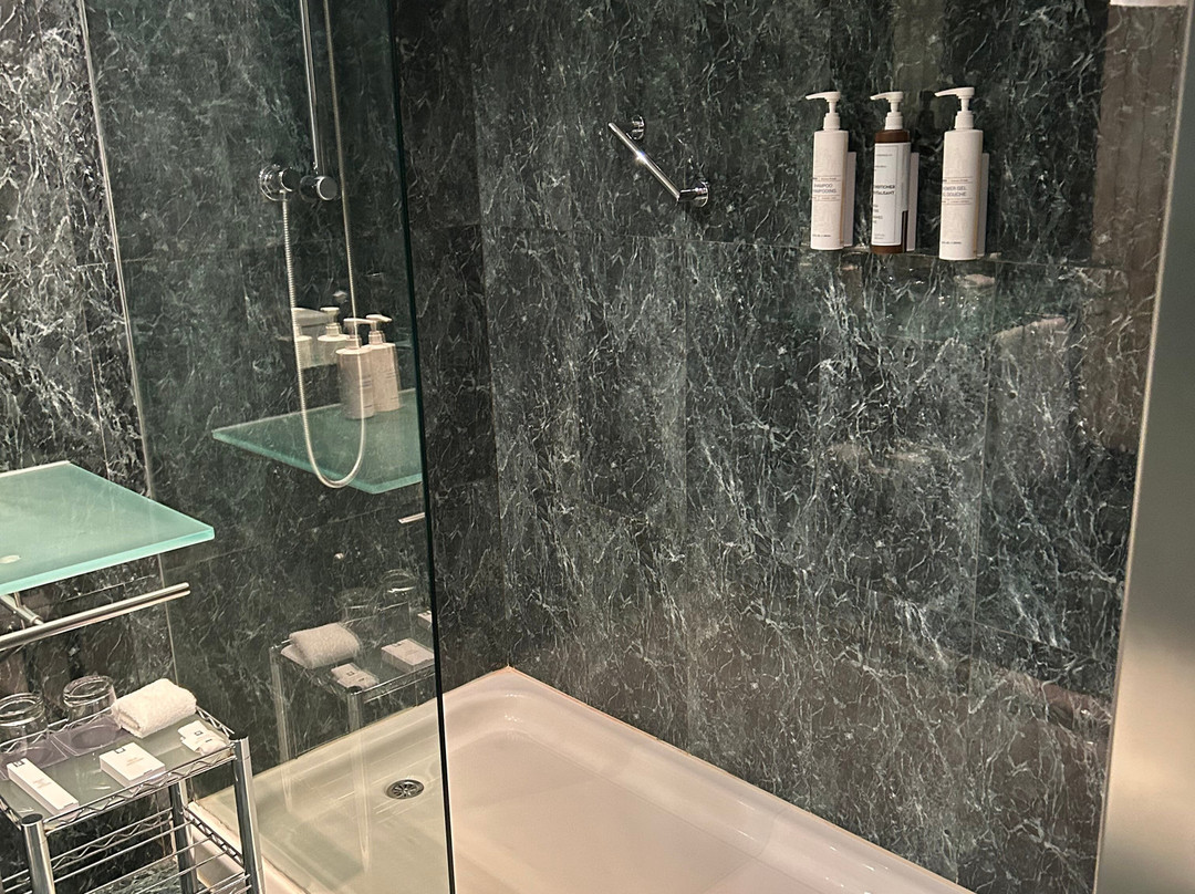 Ac Hotel Leon San Antonio主图