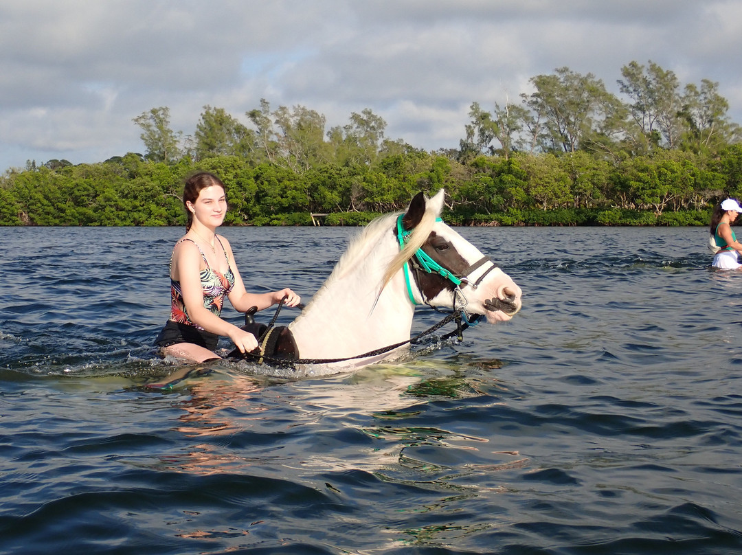 C Ponies Beach Horseback Rides-布雷登顿必去景点