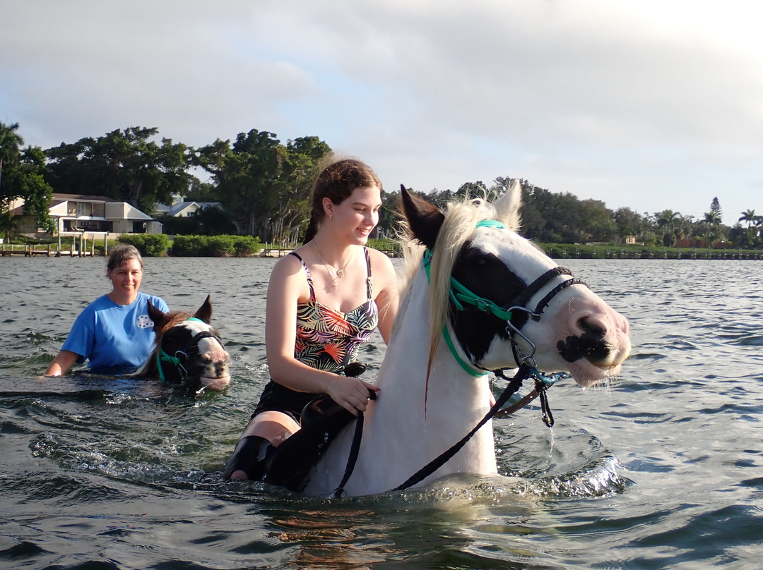 C Ponies Beach Horseback Rides-布雷登顿必去景点