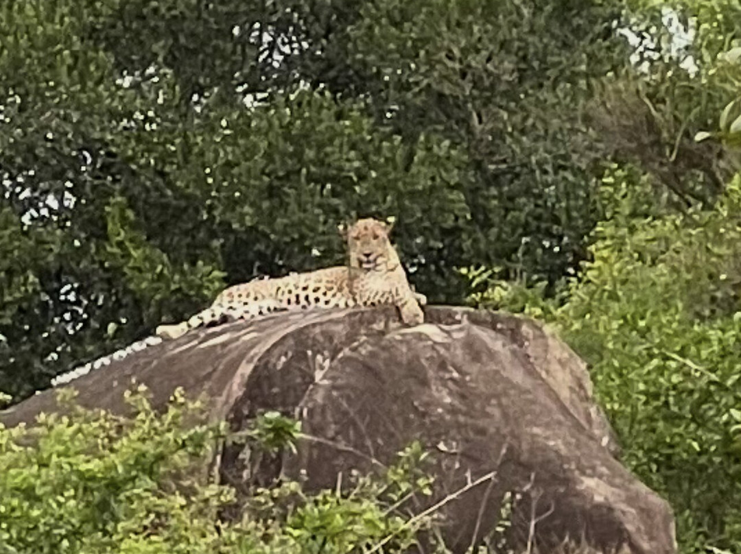 My Vacation at Lanka-Ratmalana必去景点