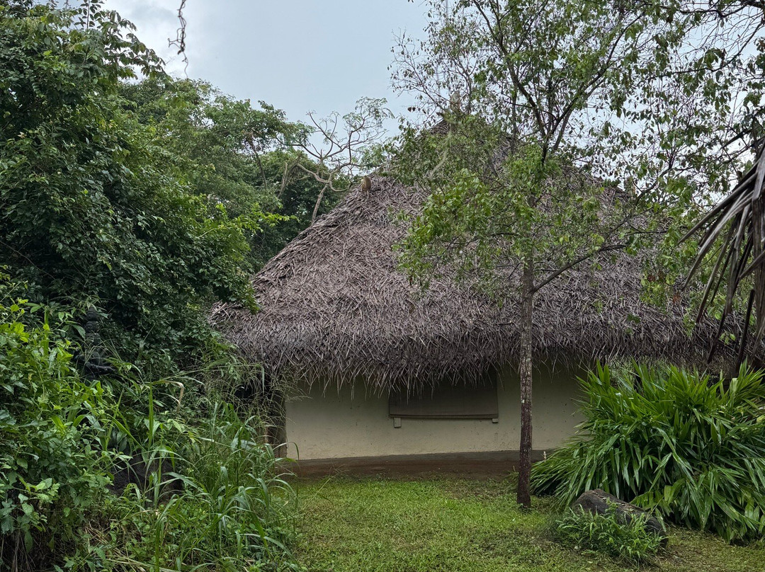 Sky Express Holidays-科伦坡必去景点