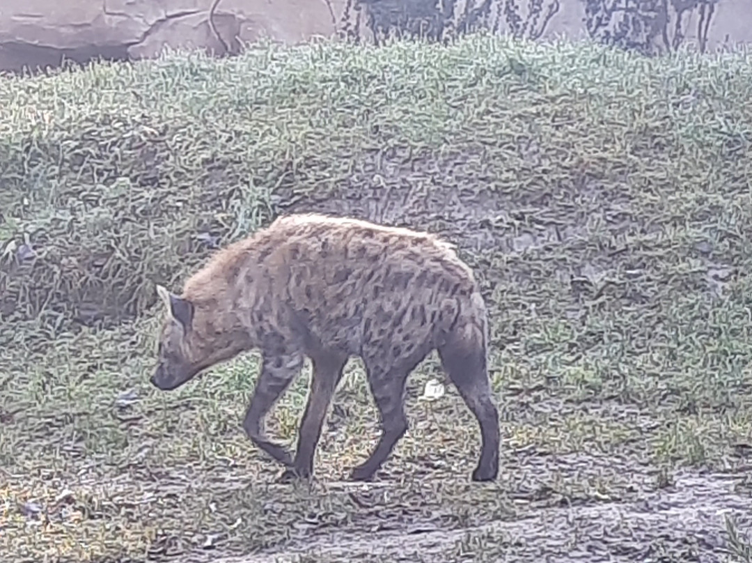 Parco Natura Viva-布索伦戈必去景点