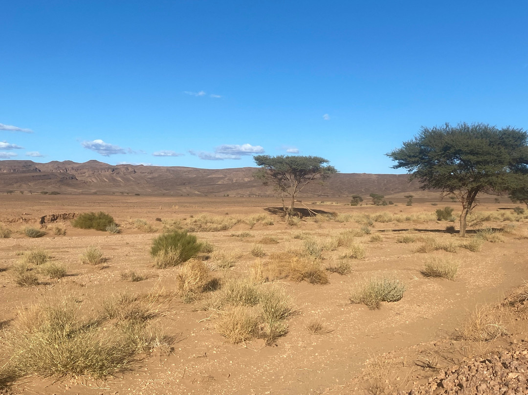 Caravane Desert Et Montagne-扎古拉必去景点