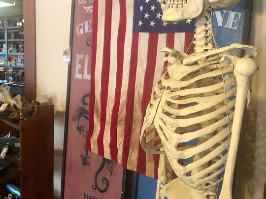 ReGEN Haus-Fillmore必去景点