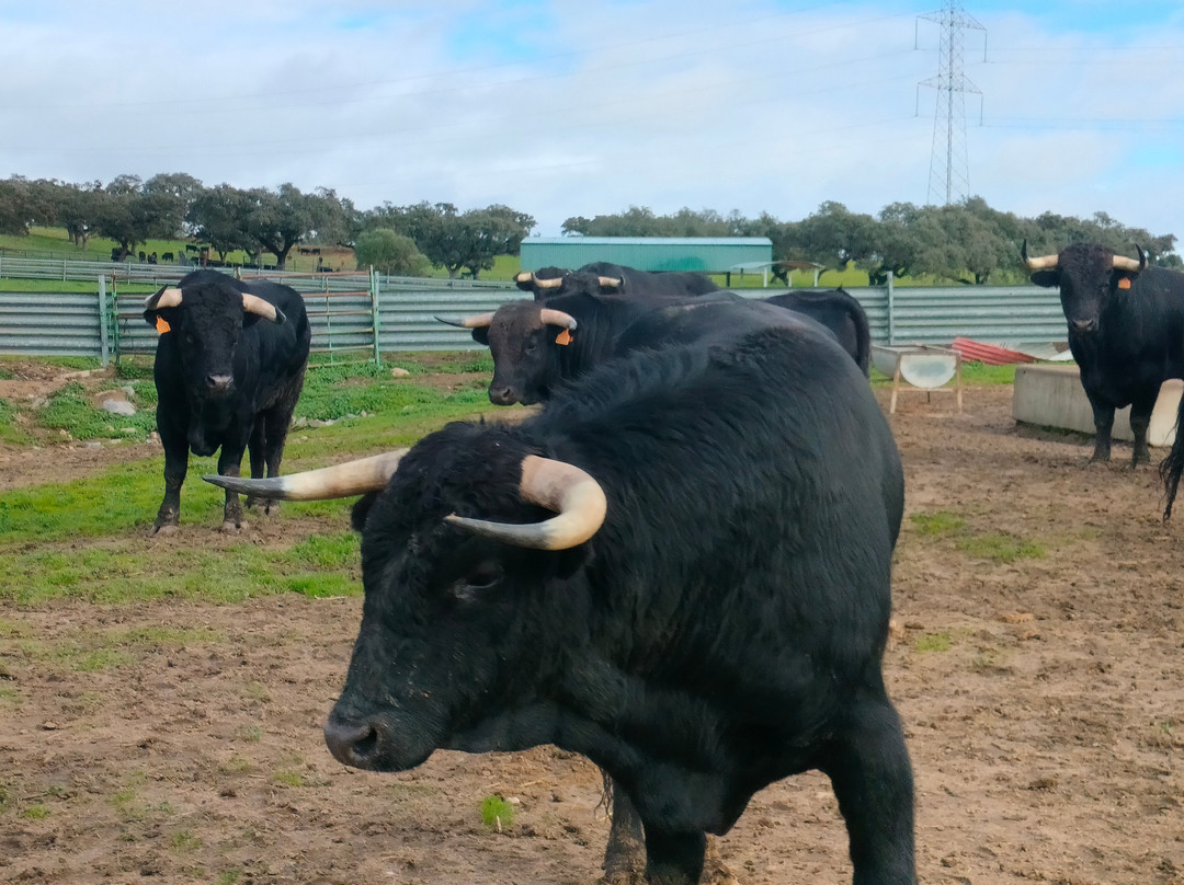 Ganadería Virgen María-吉列纳必去景点