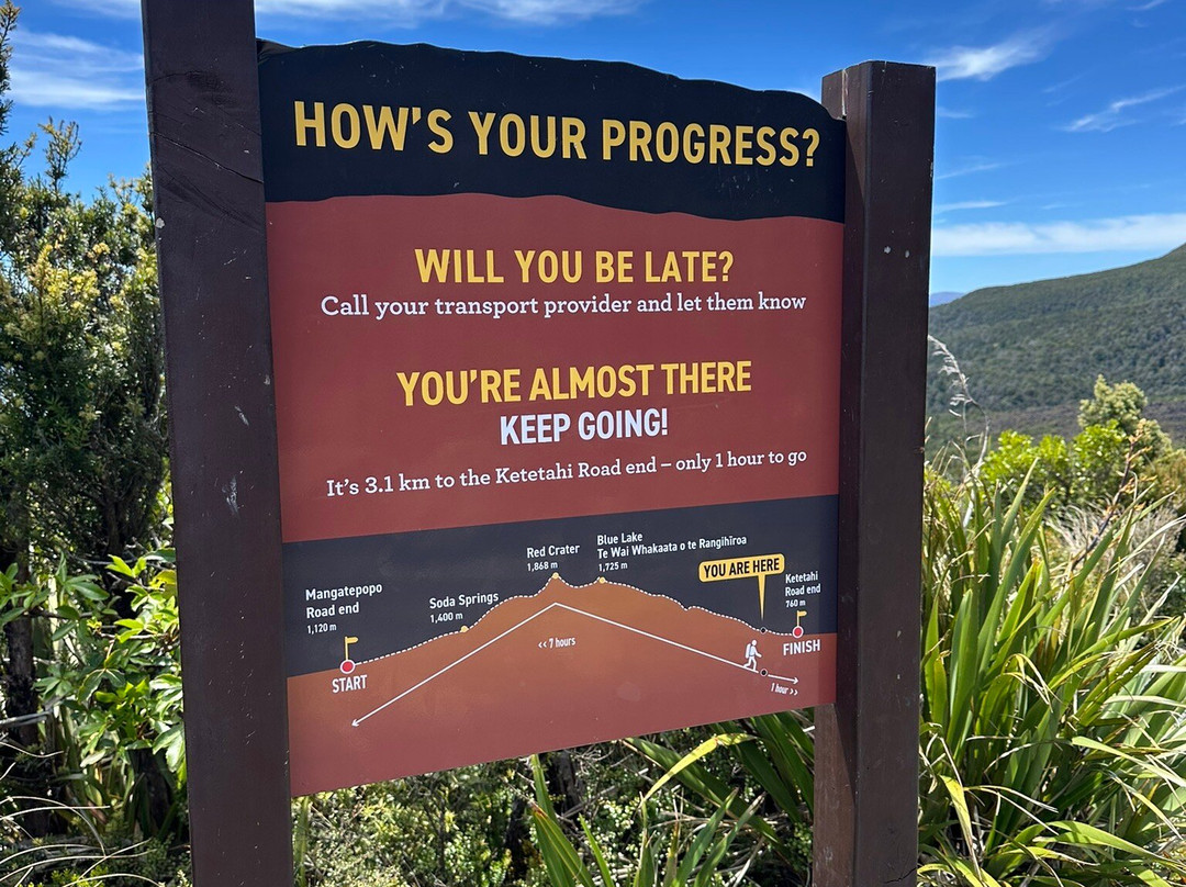 Summit Shuttles-汤加里罗国家公园必去景点