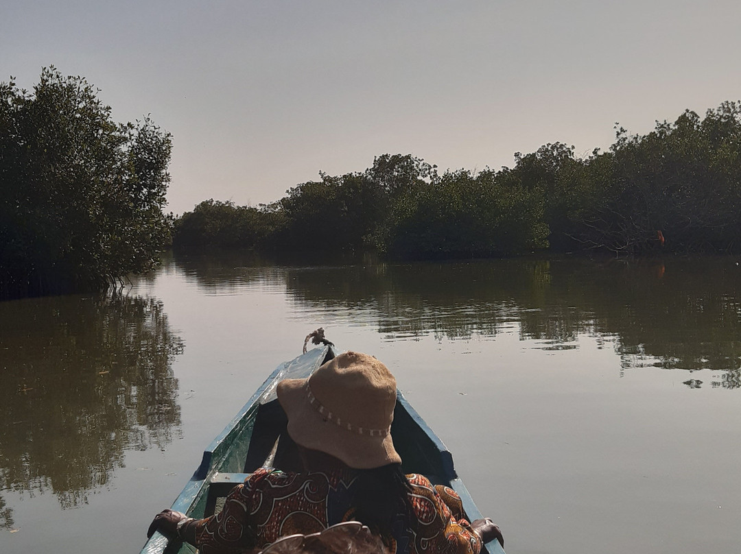 Gambia and Senegal tours with Ebrima-Tanji必去景点