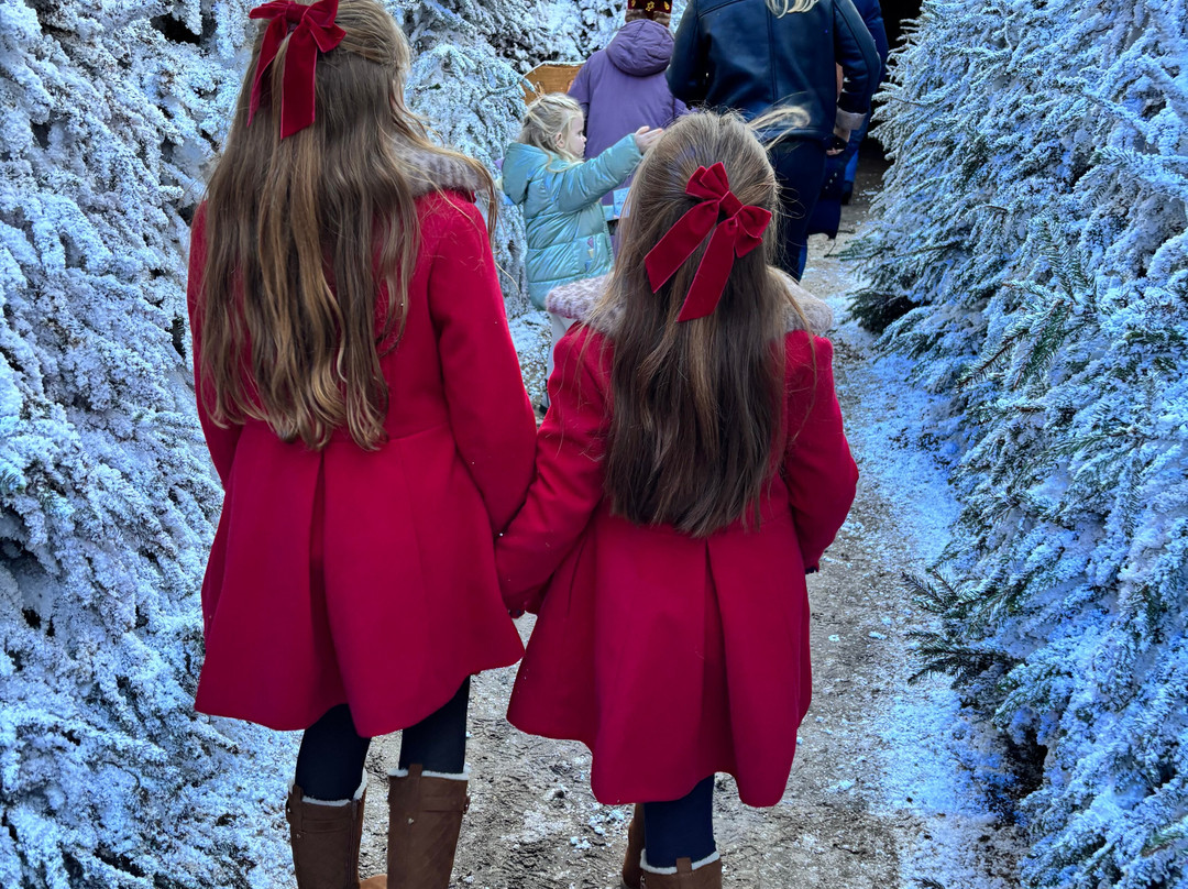 LaplandUK-Ascot必去景点