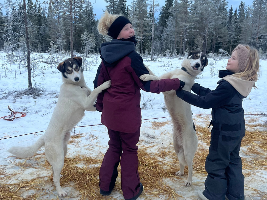 Trysil Husky-Torberget必去景点